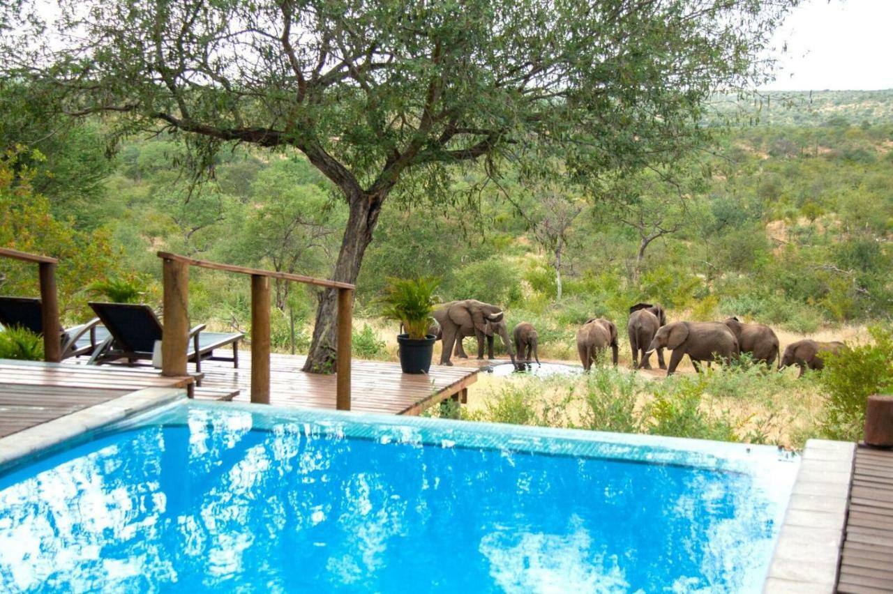 Casart Game Lodge Grietjie Game Reserve Esterno foto